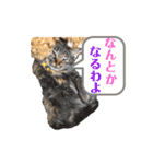 るな と もっぷ（個別スタンプ：9）