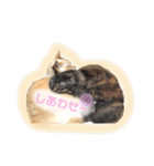 るな と もっぷ（個別スタンプ：12）