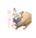 るな と もっぷ（個別スタンプ：16）