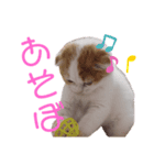 こももちゃんBaby（個別スタンプ：2）