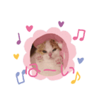 こももちゃんBaby（個別スタンプ：3）