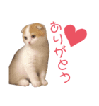 こももちゃんBaby（個別スタンプ：4）