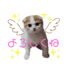 こももちゃんBaby（個別スタンプ：6）