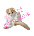こももちゃんBaby（個別スタンプ：7）