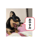 うるるのスタンプだyo（個別スタンプ：1）