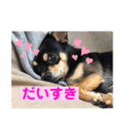 うるるのスタンプだyo（個別スタンプ：17）