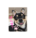 うるるのスタンプだyo（個別スタンプ：18）