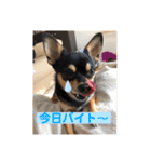 うるるのスタンプだyo（個別スタンプ：20）