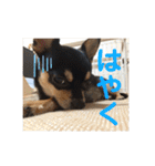 うるるのスタンプだyo（個別スタンプ：23）
