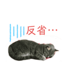 ひより＆ゆずの生活（個別スタンプ：7）