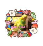 ♡インコのうたちゃん♡（個別スタンプ：6）