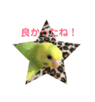 ♡インコのうたちゃん♡（個別スタンプ：11）