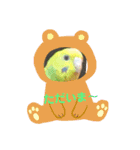 ♡インコのうたちゃん♡（個別スタンプ：14）