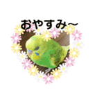 ♡インコのうたちゃん♡（個別スタンプ：16）