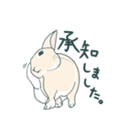えくぼうさぎ もちまるの日常② 実写もある（個別スタンプ：1）