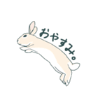 えくぼうさぎ もちまるの日常② 実写もある（個別スタンプ：3）