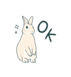 えくぼうさぎ もちまるの日常② 実写もある（個別スタンプ：8）