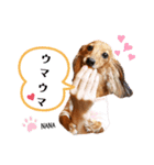 ななちゃん第1弾（個別スタンプ：3）