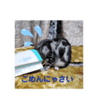 レオちゃんスタンプ①（個別スタンプ：1）