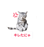 レオちゃんスタンプ①（個別スタンプ：8）
