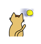 ニャンコニャンコ（個別スタンプ：2）