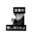 カリスマによるやれんの？！スタンプ（個別スタンプ：10）