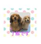 仲良し♡なな＆とと（個別スタンプ：18）