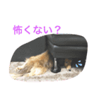 仲良し♡なな＆とと（個別スタンプ：22）