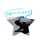 猫な振る舞い2（個別スタンプ：2）