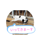 猫な振る舞い2（個別スタンプ：10）