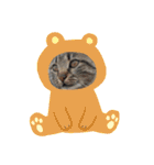 猫な振る舞い2（個別スタンプ：14）