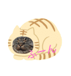 猫な振る舞い2（個別スタンプ：15）