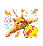わっ君のちょっと使える日常会話（個別スタンプ：7）