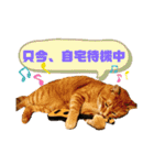 わっ君のちょっと使える日常会話（個別スタンプ：9）