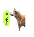 なつぽん40（個別スタンプ：21）