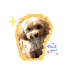 Jenny ＆ Mini（個別スタンプ：4）