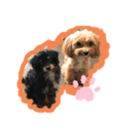 Jenny ＆ Mini（個別スタンプ：6）