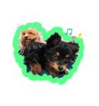 Jenny ＆ Mini（個別スタンプ：8）