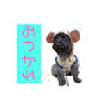 メリーちゃん（ケアンテリア）（個別スタンプ：22）