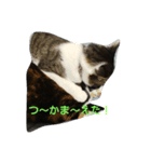 豊ちゃん本ちゃん（個別スタンプ：3）
