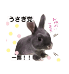 コハクの一日（個別スタンプ：7）