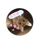 こ虎くん（個別スタンプ：4）