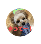 わたしのスタンプノア（個別スタンプ：7）