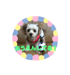 わたしのスタンプノア（個別スタンプ：8）
