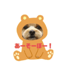 わたしのスタンプノア（個別スタンプ：15）