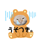 山本猫兄弟（個別スタンプ：4）