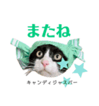 おぼうしめめたん1（個別スタンプ：16）