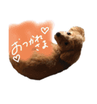 めろんのすたんぷです。（個別スタンプ：2）
