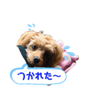 めろんのすたんぷです。（個別スタンプ：4）