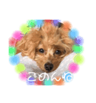 めろんのすたんぷです。（個別スタンプ：9）